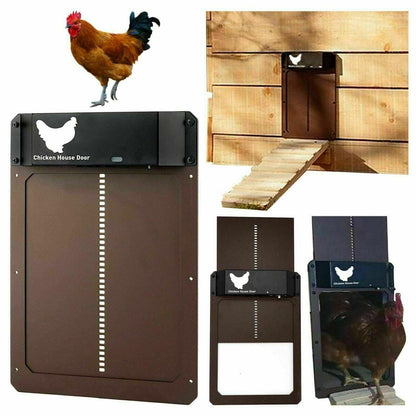 Automatic Chicken Door 2