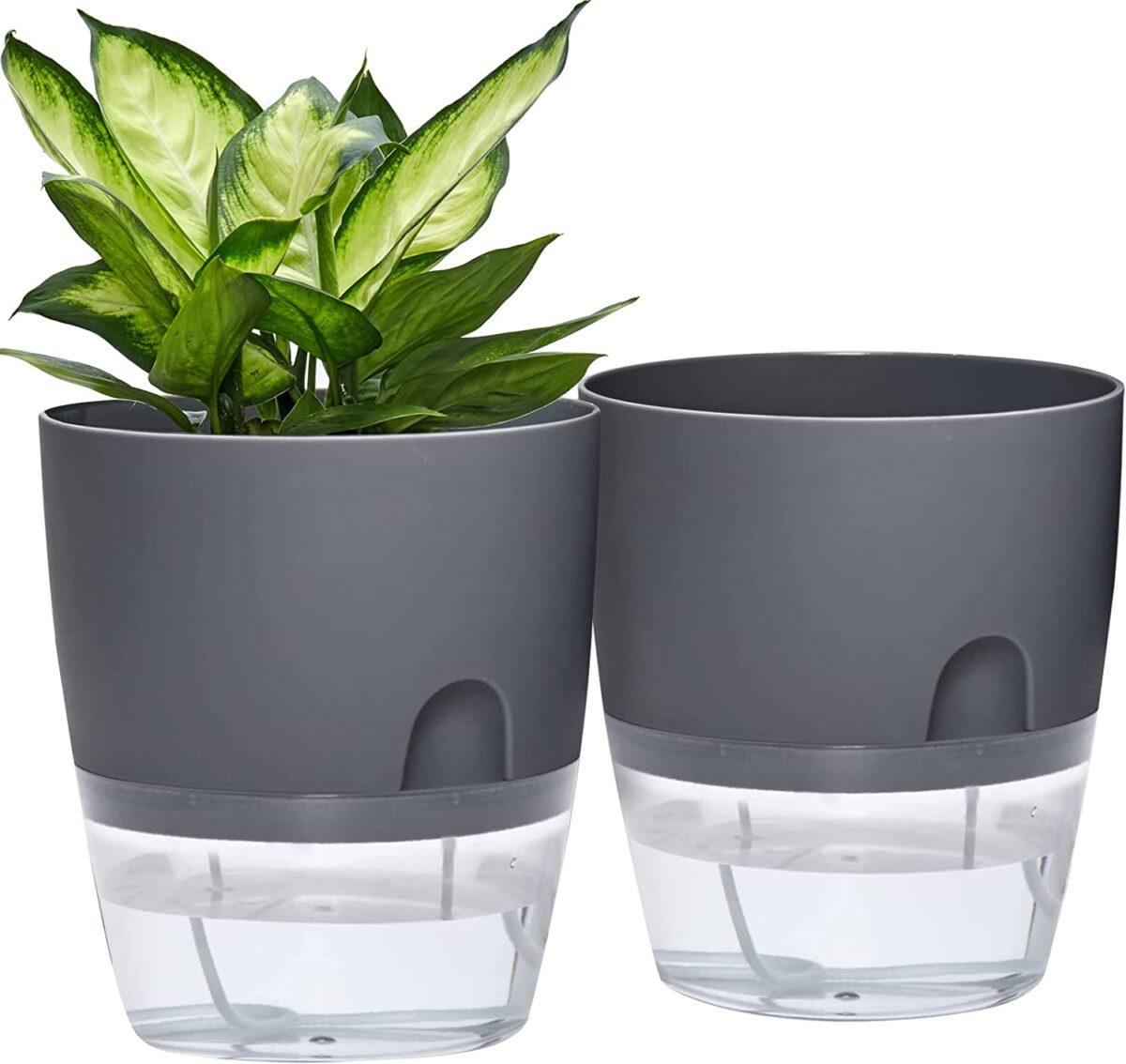 Self Watering Flowerpot 2