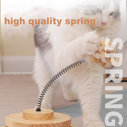 Interactive Cat Food Toy 2