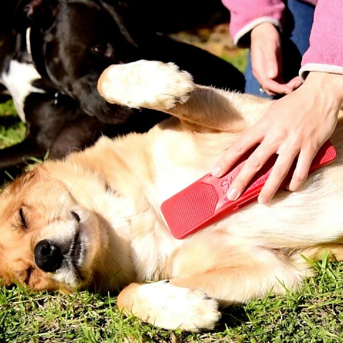 6-in-1 Shedding Grooming Massage Brush 2