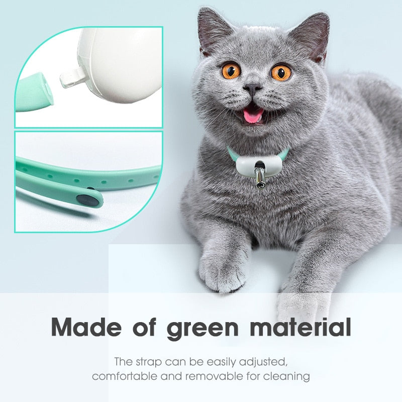 Amusing Collar for Kitten 2