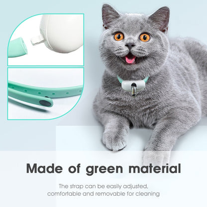Amusing Collar for Kitten 2