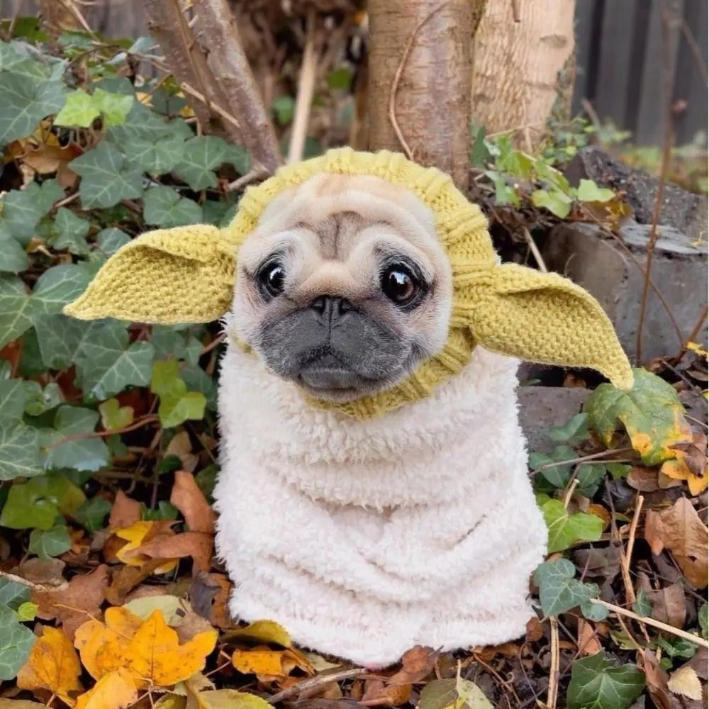 Cozy Critter Knit Dog Hoods ? 2