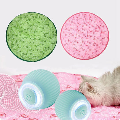 2 in 1 Simulated Interactive Hunting Cat Toy 2