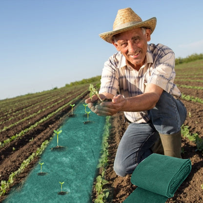 Grass Seed Mat 2