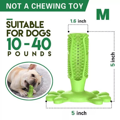 Dog Tooth-Brush- Medium 2