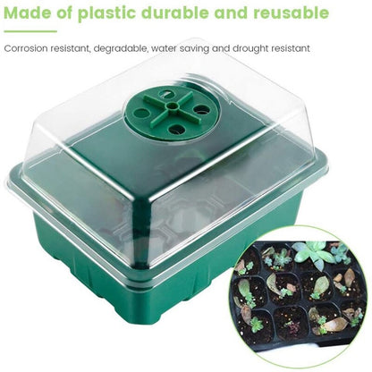 Cultivation Trays 2