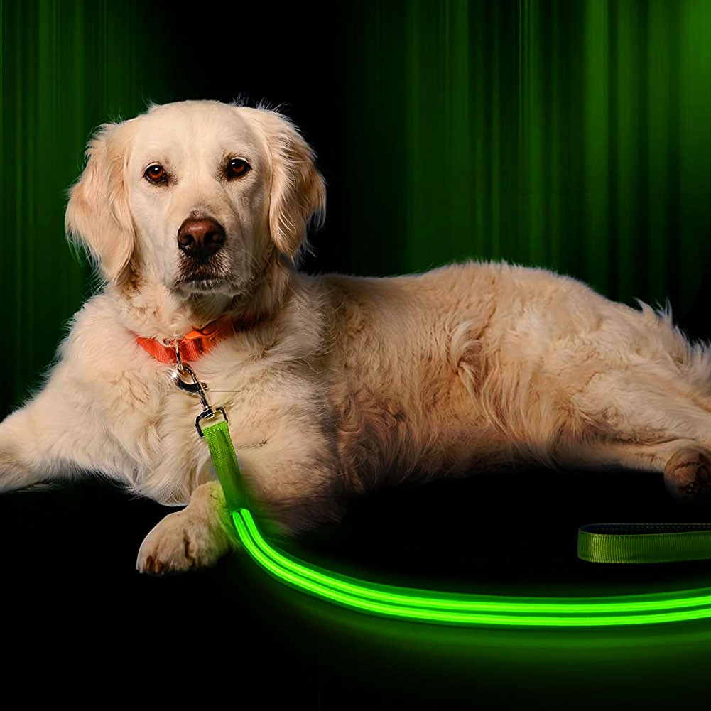 Visibility Leash 2