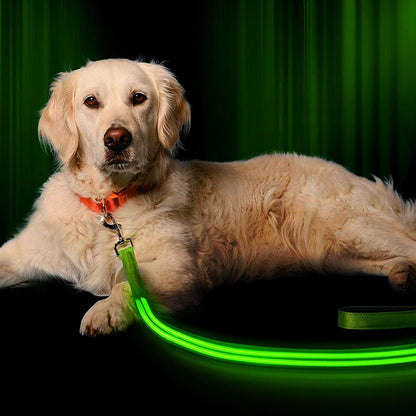 Visibility Leash 2