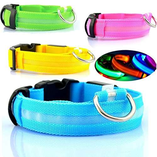 Premium Glow in the Dark LED Dog Safety Collar 2