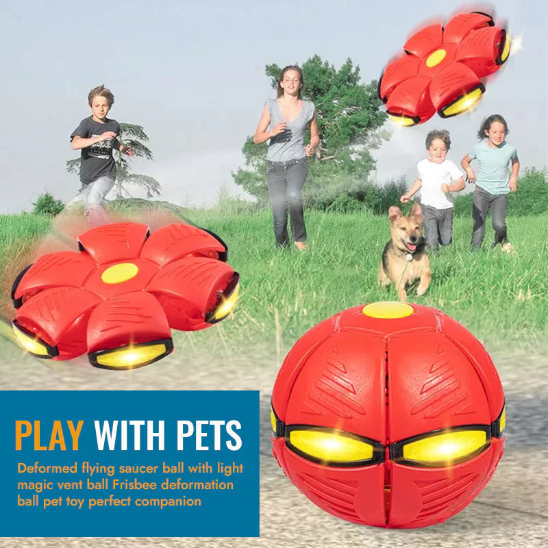 Pet Toy Flying Saucer Ball 2