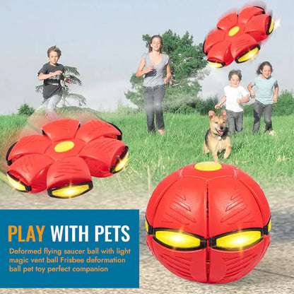 Pet Toy Flying Saucer Ball 2