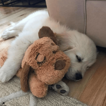 SNUGGLE-PUP  FOR PETS 2