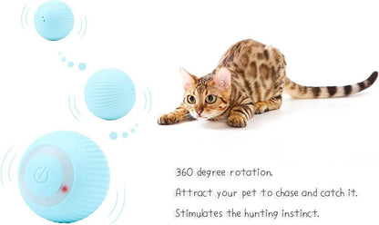 Cat Ball Automatic Rolling 2