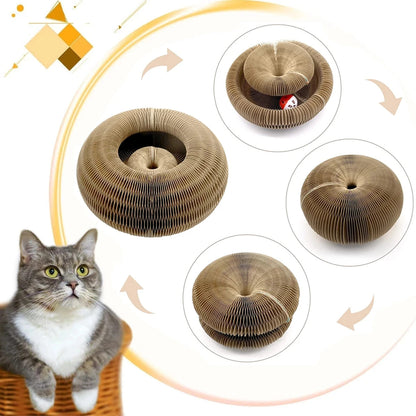Magic Organ Cat scratching Board 2