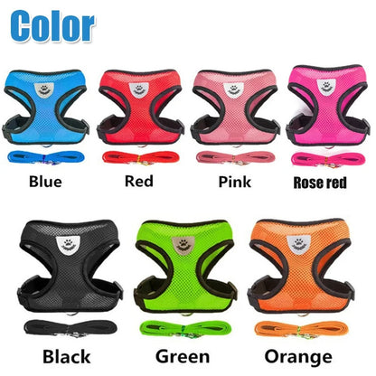 Cat Harness & Leash 2