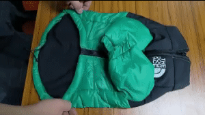 Jacket For Pets 2