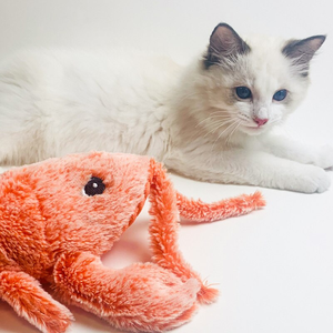 Floppy Lobster™ Interactive Electric Cat Toy 2