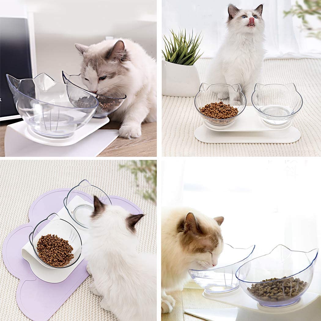 Elevated Cat Bowl 2