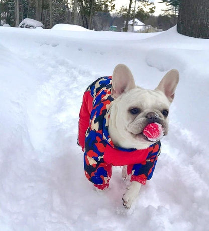 Dog Winter Jumpsuit 2
