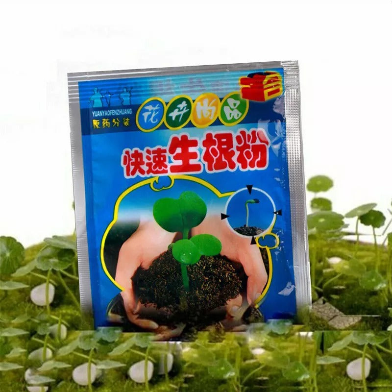 Growth Rooting Powder Plus-10pcs 2