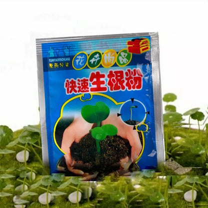Growth Rooting Powder Plus-10pcs 2