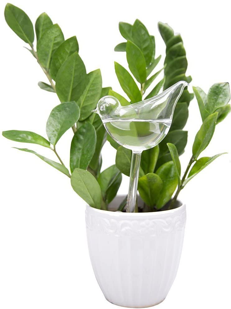 Self-Watering Plant Glass Bulbs 2