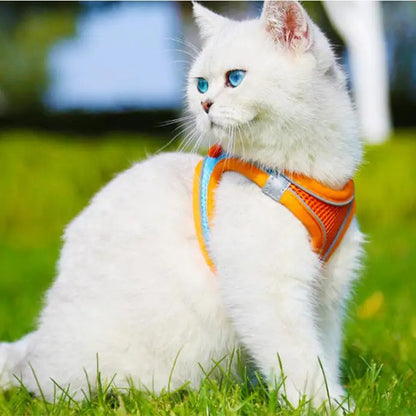Reflective Adjustable Vest Harness Strap & Leash for Cats & Small Dogs 2