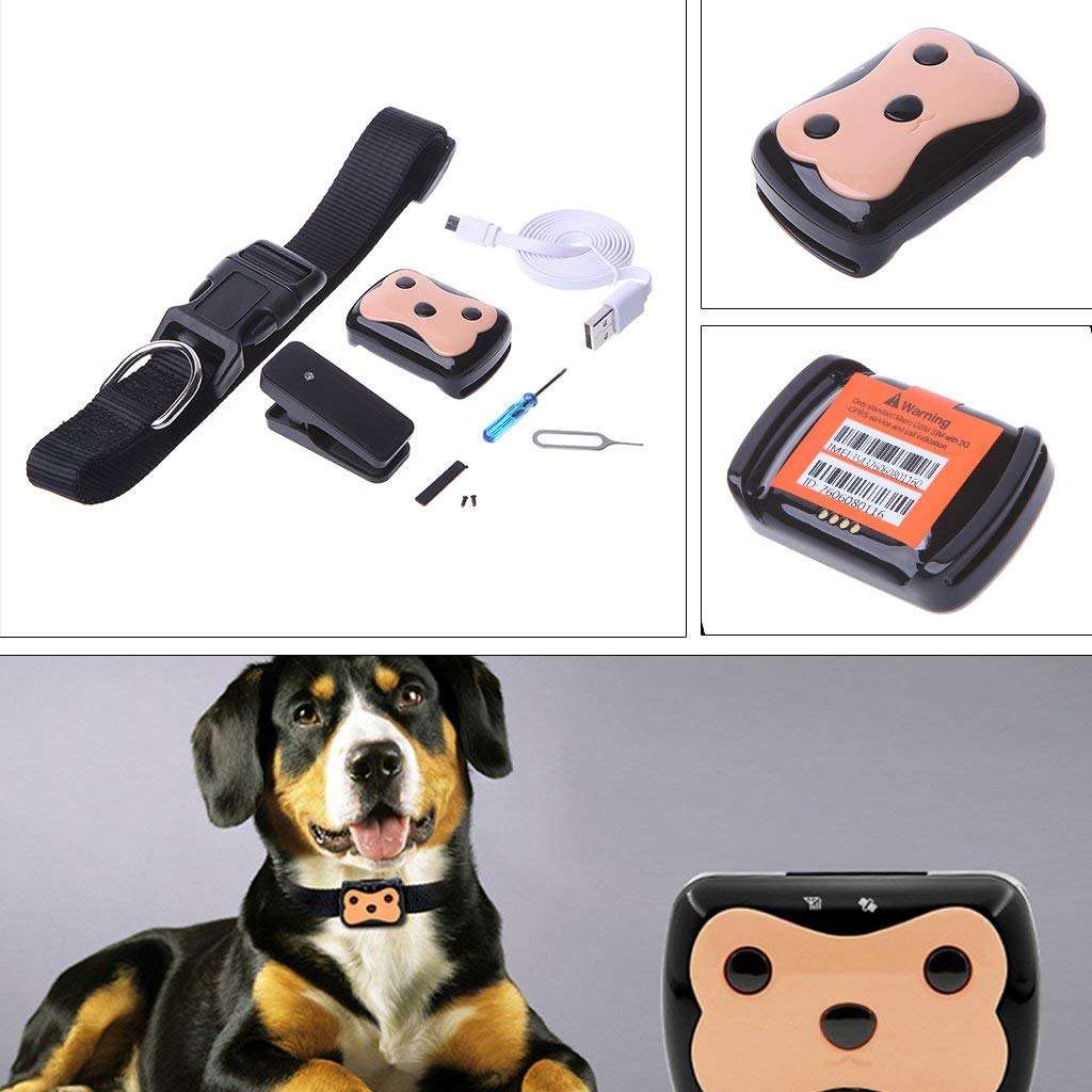GPS Dog Tracker 2