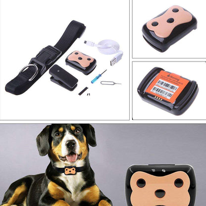 GPS Dog Tracker 2
