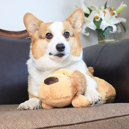 Heartbeat - Pet Plush Toy 2