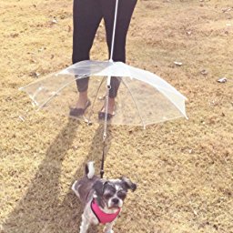 SMALL DOG UMBRELLA WITH LEASH 2