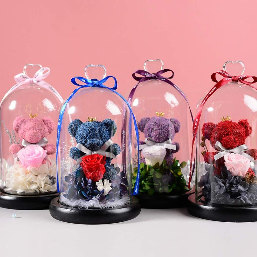 DearBear 2