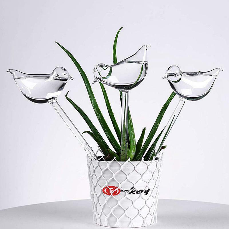Self Watering Bird Bulbs 2