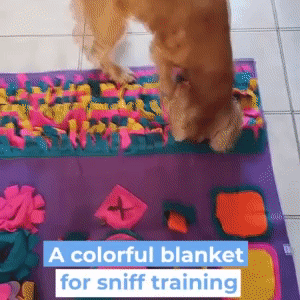 Dog snuffle mat 2