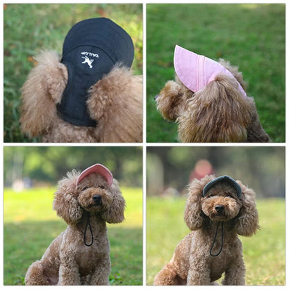Small Pets Hat 2