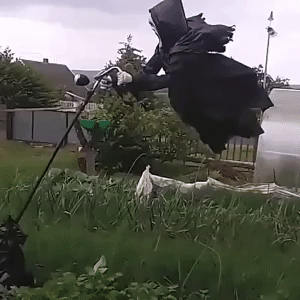 Scream Scare Crow 2