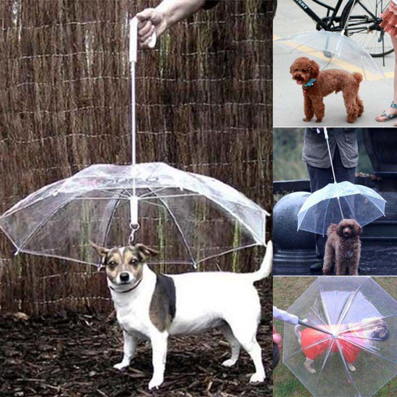 Transparent Dog Umbrella 2