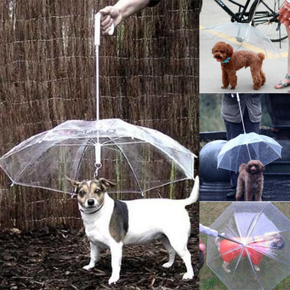 Transparent Dog Umbrella 2