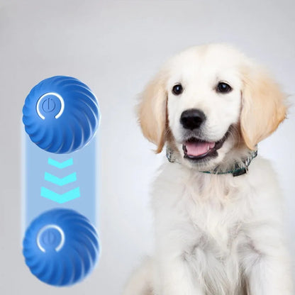 Interractive Motion Activated Rolling Ball Dog Toy 2