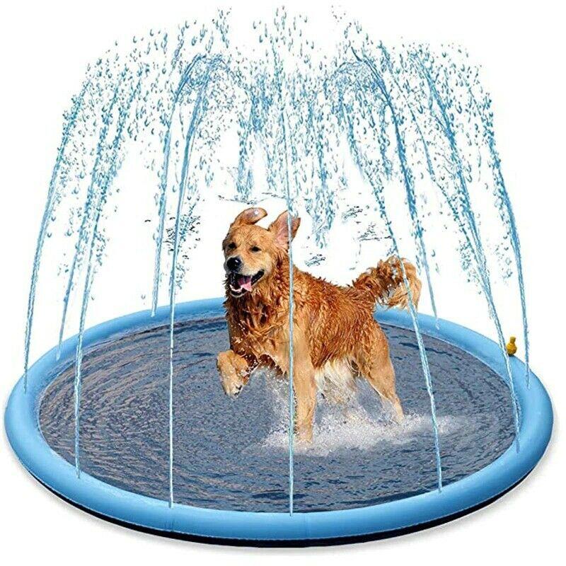 Dog Splash Sprinkler Pad 2
