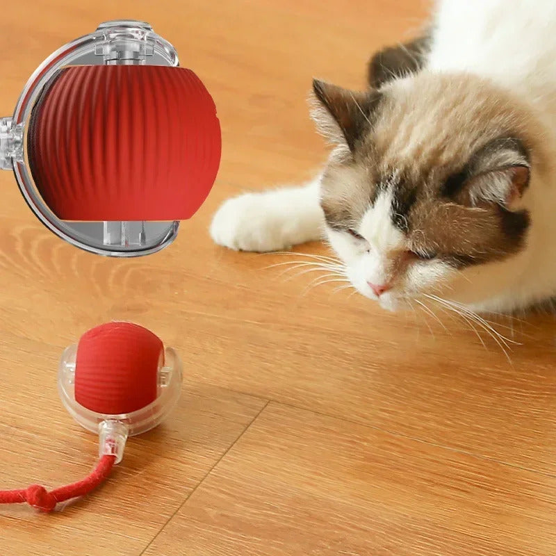 Pet Smart Interactive Rolling Ball With Tail 2