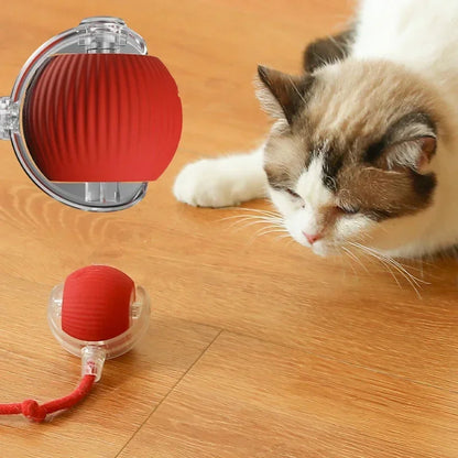 Pet Smart Interactive Rolling Ball With Tail 2