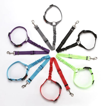 New Design Car Dog Leash 2
