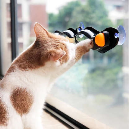 WINDOW MOUNTED TRACK BALL TOY FOR CATS 2