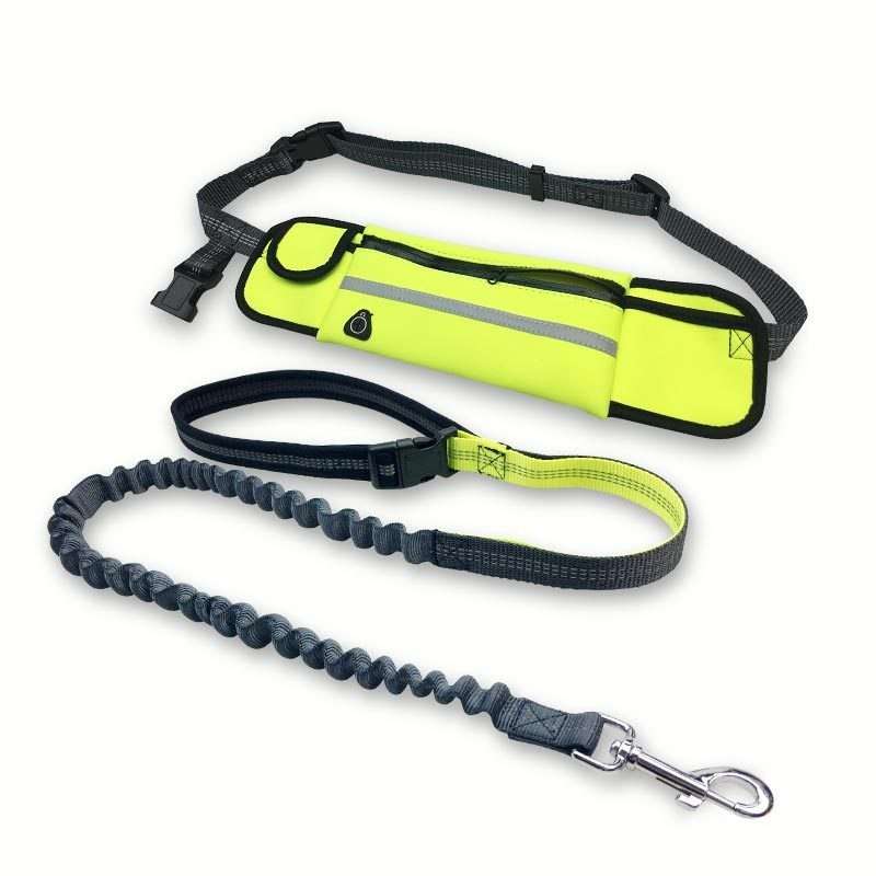 Handsfree Bungee Dog Leash 2