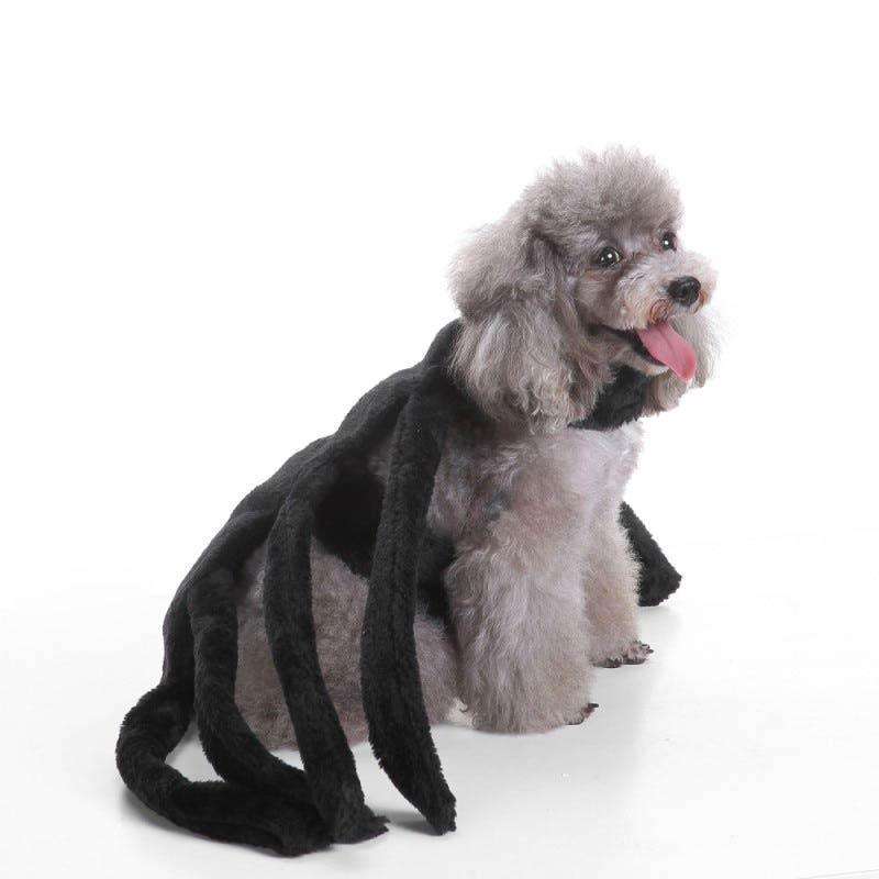 Spider-Dog Costume 2