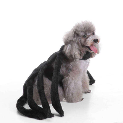 Spider-Dog Costume 2