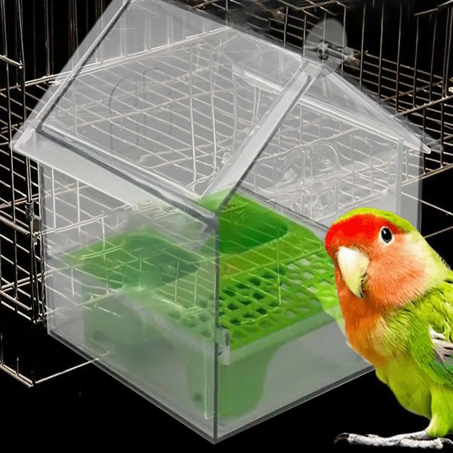 ClearNest Smart Bird Feeder & Bath Station 2