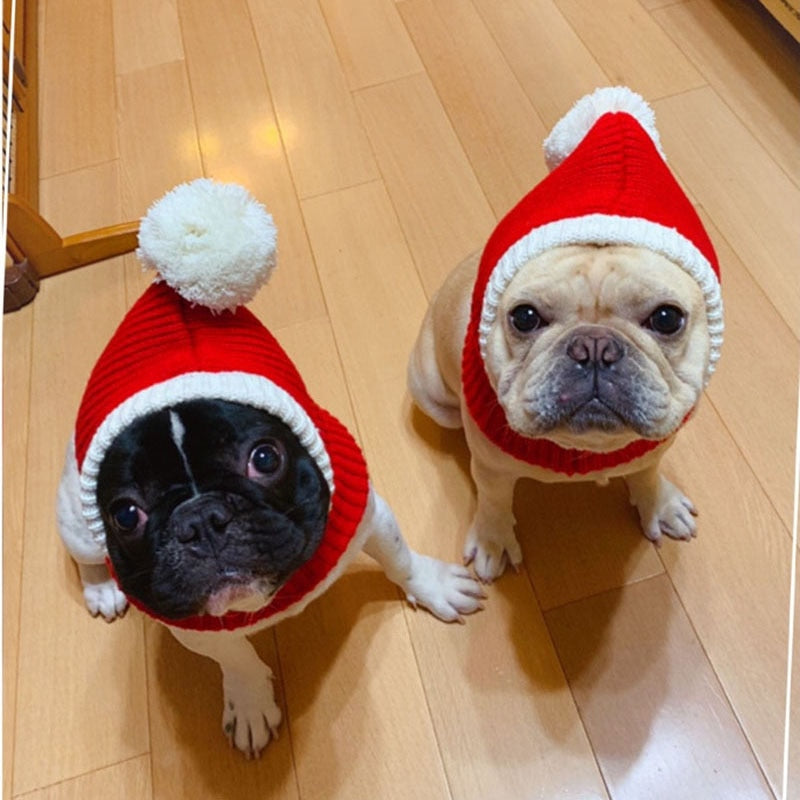 Stylish Pet woollen Hat 2